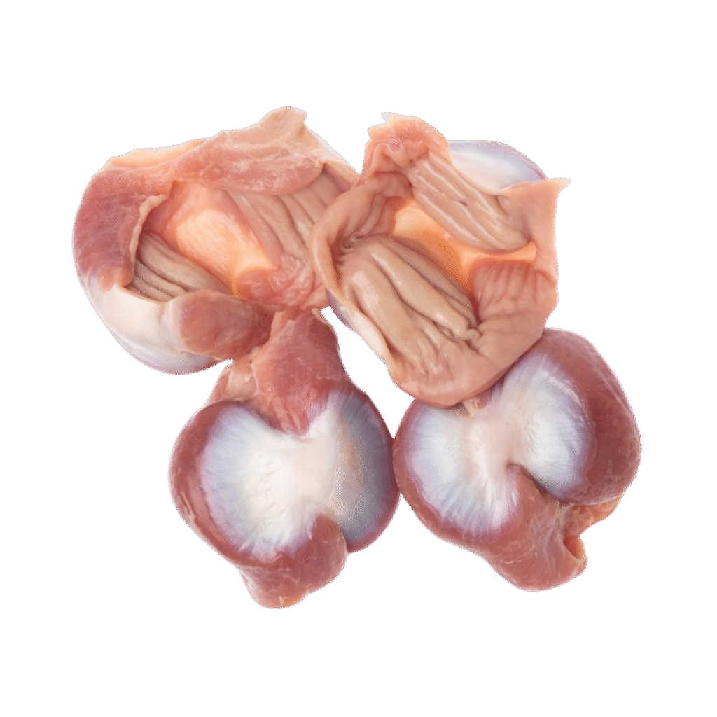 Gesier-de-Dinde